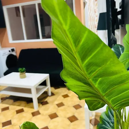 Apartmán Lumineux