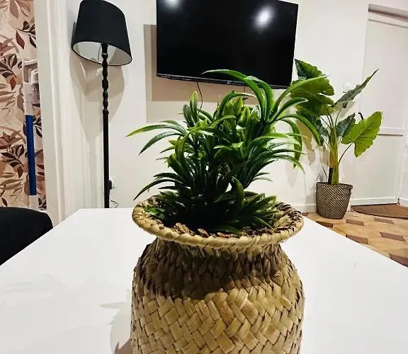 Lumineux Appartement Tourcoing