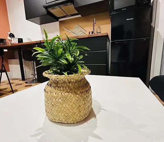 Appartement Lumineux Tourcoing